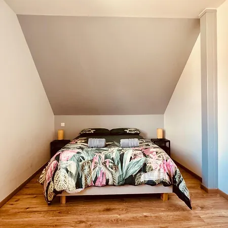 Prázdninový dům Le Manoir Obernois - 5mn Du Centre - 10 Pers. *