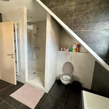 Le Manoir Obernois - 5mn Du Centre - 10 Pers. Ferienhaus *